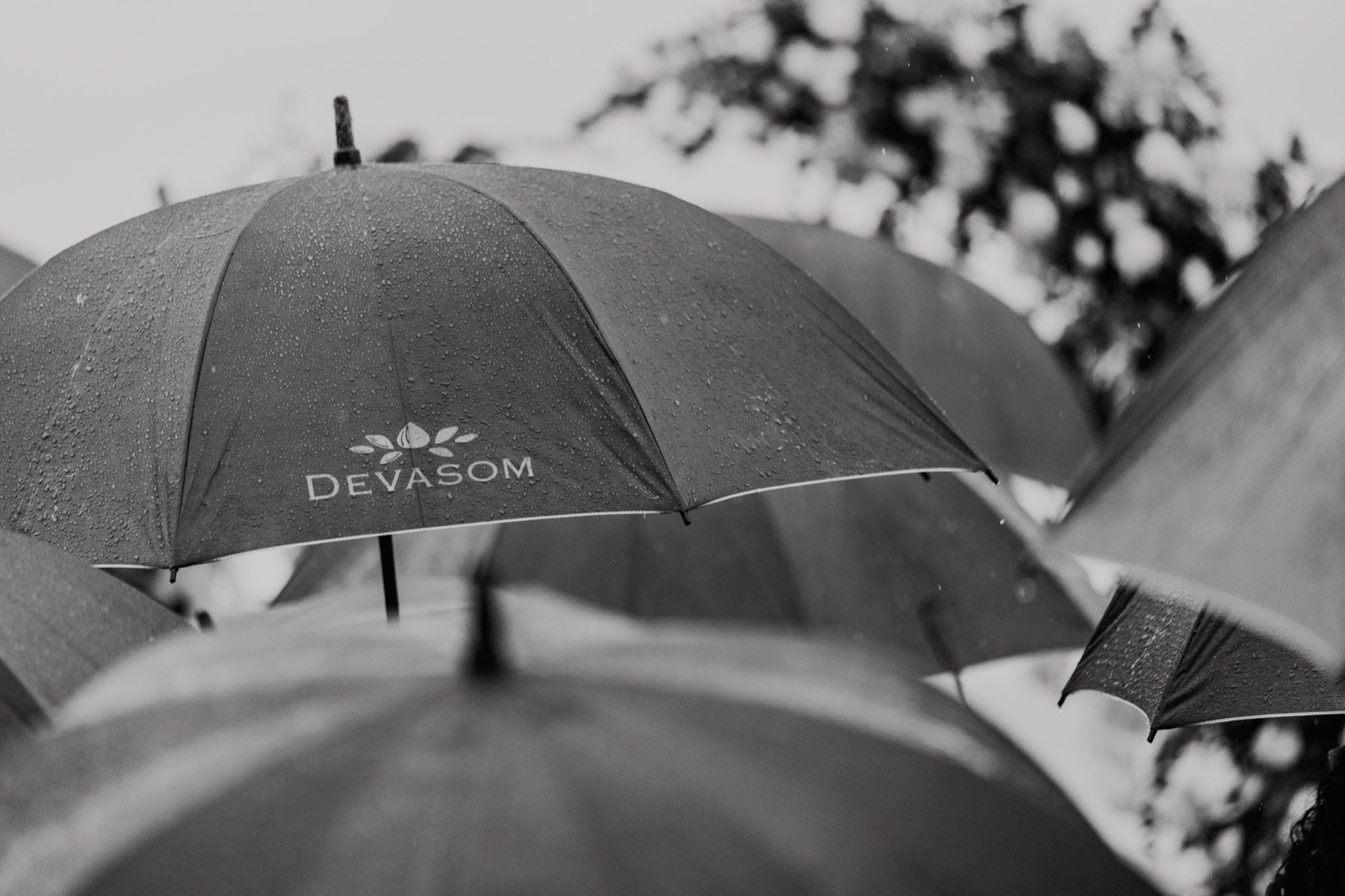 Devasom Khao Lak Beach Resort & Villas_P&R_@madiowphotography-25